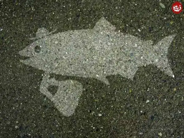 نقاشی های خلاقانه ای که فقط زیر باران دیده می شوند