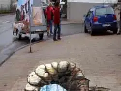 عکس؛ هنر خیابانی؛ خلاقیت هنرمند روس که «آهوهای غار برفی» را به «پیاده رو» آورده است