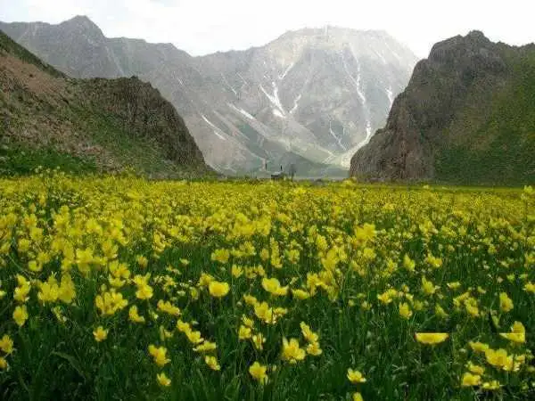 لواسان گردی از گردنه قوچک تا دشت لار