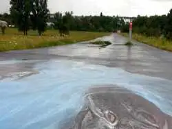 عکس؛ هنر خیابانی؛ خلاقیت بامزه هنرمندی که «آسفالت خیابان» را به «برکۀ اسب آبی» تبدیل کرده است