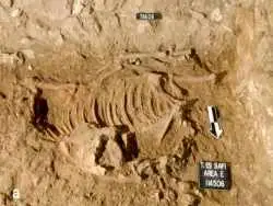 «الاغ قربانی شدۀ مصری» بعد از 5 هزار سال در فلسطین کشف شد