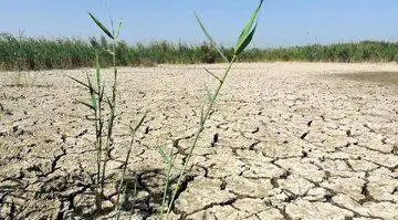 پیش بینی وضعیت خطرناک تا سال 2050 برای زندگی انسان ها