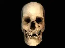 عکس؛ اسکلت 4500 ساله، داستان تازه ای از مصر باستان روایت می کند