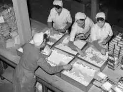 عکس؛ سفر در زمان؛ 1352؛ کارخانه بیسکوییت سازی در تهران