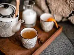 باکتری ها و میکروب ها به آب و چای حمله می کنند؟ چطور از تجمع باکتری ها در غذا جلوگیری کنیم؟