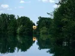 تصاویر؛ این کلبۀ فرانسوی به معنی واقعی کلمه «جنگلی» است