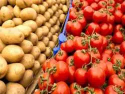 دانشمندان می گویند «گوجه فرنگی» پدربزرگ «سیب زمینی» است