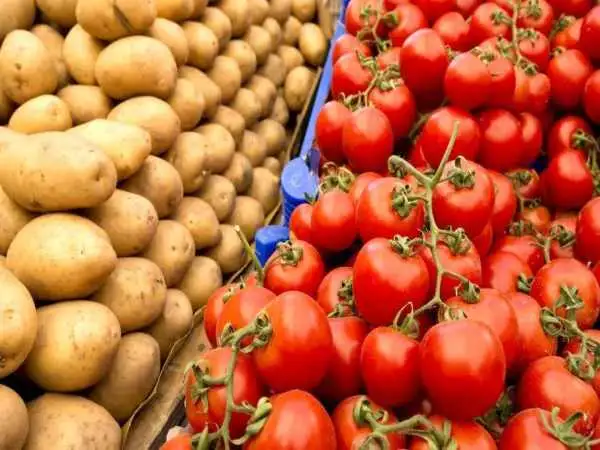 دانشمندان می گویند «گوجه فرنگی» پدربزرگ «سیب زمینی» است