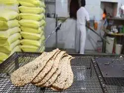 عکس؛ سفر به تاریخ؛ نانواهای شیرازی در حال گرفتن عکس یادگاری؛ بیش از یک قرن قبل