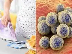 جوراب هایتان را اشتباه می شویید! روش درست شستن جوراب از زبان یک میکروبیولوژیست