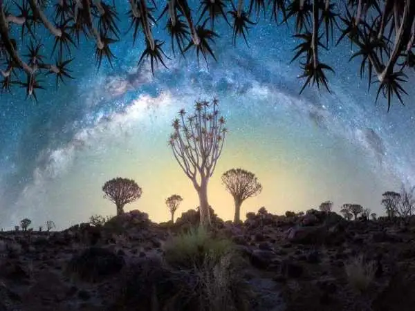 تصاویر؛ شاهکارهای عکاسی «منظره» که در سال 2025 برندۀ جایزه شده اند