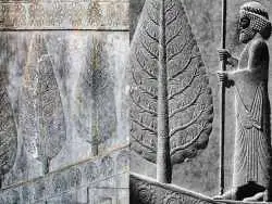 اینفوگرافی؛ سفر در زمان؛ چرا اجداد ما ایرانیان به درخت سرو بسیار بها می دادند؟