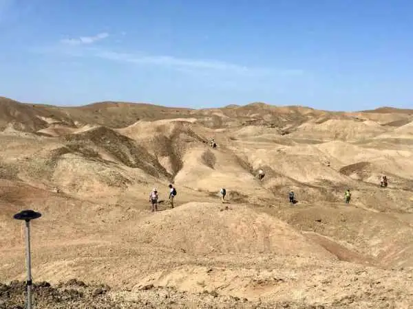 عکس؛ کشفی شگفت انگیز فسیل ها؛ دو گونه انسان باستانی در یک زمان و مکان