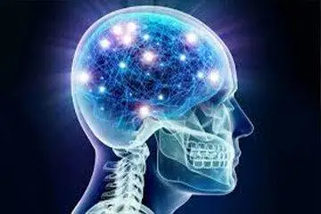 کندر، هوش و حافظه را زیاد می کند؟