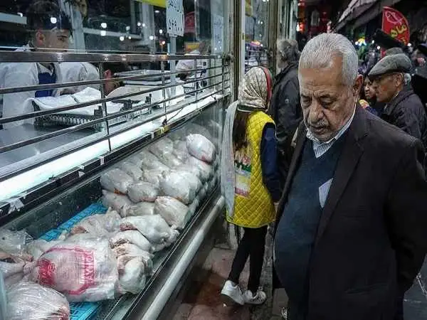 جدول؛ قیمت گوشت مرغ امروز جمعه 31 مرداد 1404؛ سینه مرغ چند؟