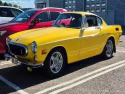 تصاویر؛ 1800ئی؛ زیبای سوئدی