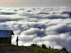 5 جنگل ابر رویایی شمال که باید ببینید