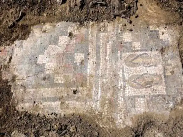 تصویر یک جفت «صندل» بعد از 1600 سال از زیر خاک بیرون آمد