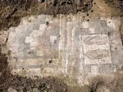 تصویر یک جفت «صندل» بعد از 1600 سال از زیر خاک بیرون آمد