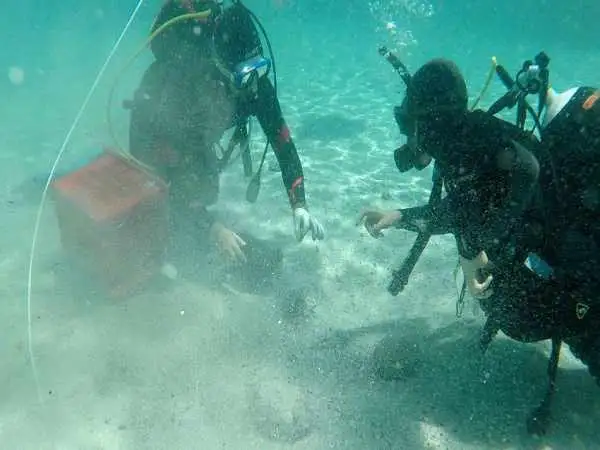 شیرجۀ اتفاقی یک غواص بر روی «گنج سکه های 1700 ساله»