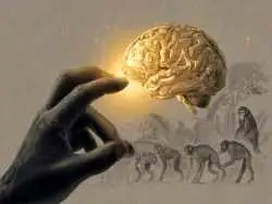 رابطه اندازه مغز و طول انگشت شست؛ کلید پنهان هوش ما در تاریخ تکامل!