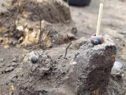 «گنج سکه های هندی» از یک گورستان باستانی در «روسیه» بیرون آمد