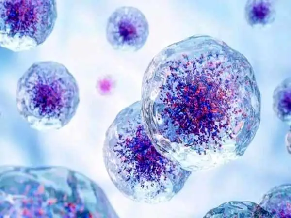 کشف مکانیسم عجیبی در بدن: سلول ها برای جوان شدن «استفراغ» می کنند