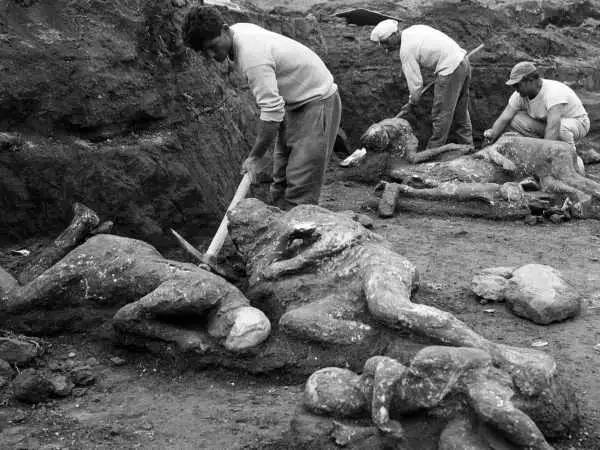 فاجعه آتشفشان پمپئی هم باعث نشد بازماندگان شهر خود را رها کنند