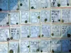 کشف 100 سکه تاریخی در کمر زرین اصفهان؛ احتمال کشف یک مرکز تجاری باستانی در این منطقه شدت گرفت