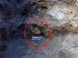 کشف ابزار «یک و نیم میلیون  ساله» که شاید «هابیت ها» آن ها را ساخته باشند