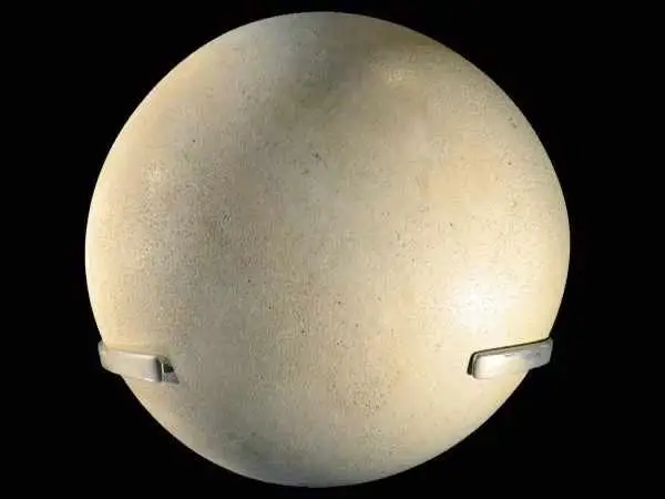 کدام جانور بزرگترین «تخم» تاریخ را گذاشته است؟