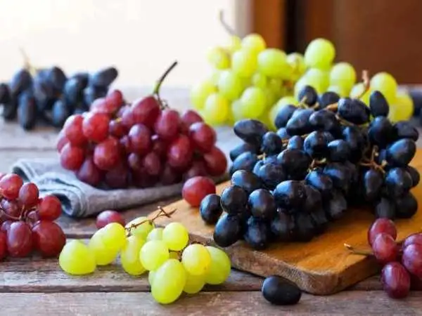 میوه ای که خودش یک «اَبَر غذا» است
