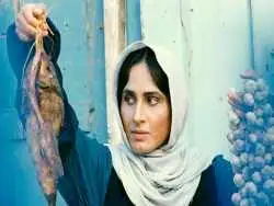 یک فیلم ایرانی در جشنواره ونیز برنده جایزه شد