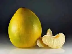 دارابی؛ بزرگ ترین میوه مرکبات ایران که بسیار خوشمزه است