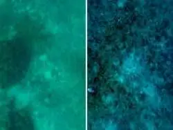 این فناوری، چهره واقعی اقیانوس را نشان می دهد