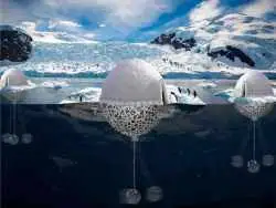 عکس؛ افتخار ایرانی در رقابت جهانی معماری؛ طرح نجات پنگوئن ها خبرساز شد