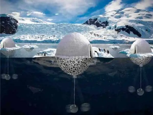 عکس؛ افتخار ایرانی در رقابت جهانی معماری؛ طرح نجات پنگوئن ها خبرساز شد