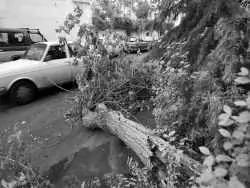 عکس؛ سفر در زمان؛ توفان شدید در تهران بازگشایی مدارس را سخت کرد! 