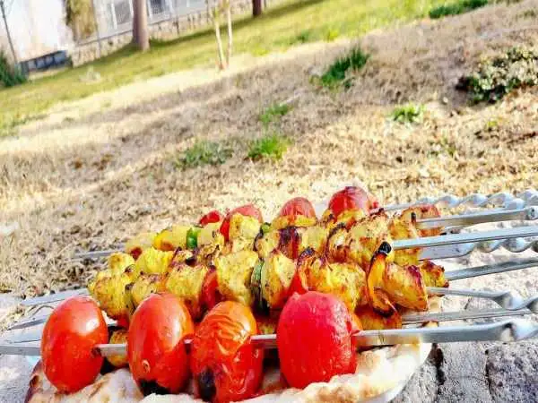 واقعیت کدام است: بوی کباب در بوستان ها یا تنگی معیشت ایرانیان؟!