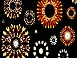 نقاشی های شگفت انگیزی که «طبیعت» با «آب و روغن» می کشد