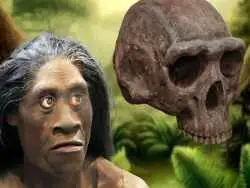 چرا «انسان های هابیت» جثۀ کوچکی داشتند؟