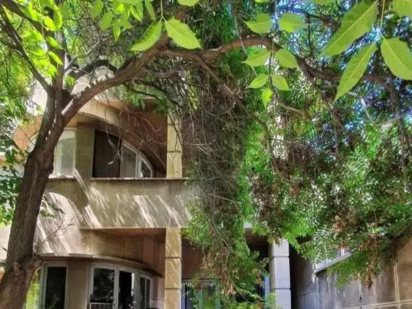 تصاویر؛ خانه ای از دوران پهلوی دوم با تنور نان در خانه!