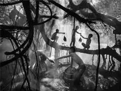 14 شاهکار عکاسی که در سال 2025 برنده جایزه شدند