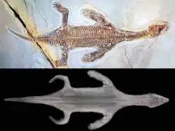 کشف فسیل کامل یک هیولای دریایی با قدمت 240 میلیون سال