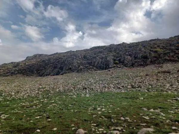 کشف مرتفع ترین محل زندگی نئاندرتال ها در کرمانشاه