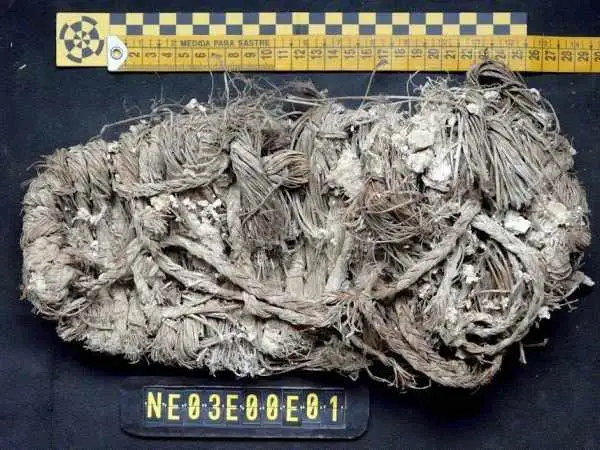 این کفش 650 ساله در لانۀ یک «همای سعادت» پیدا شد