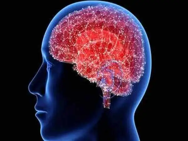 این مولکول کمک می کند تا لاغر شوید!