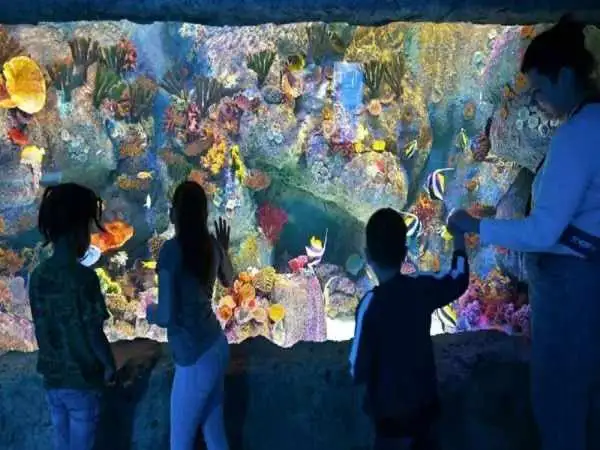 یک معمای ژنتیکی؛ چرا برخی افراد اوتیسم دارند؟