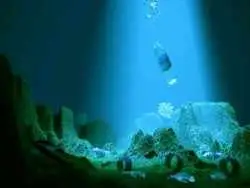 کشف روشی تازه برای پاکسازی اقیانوس ها؛ این پلاستیک در آب دریا حل می شود