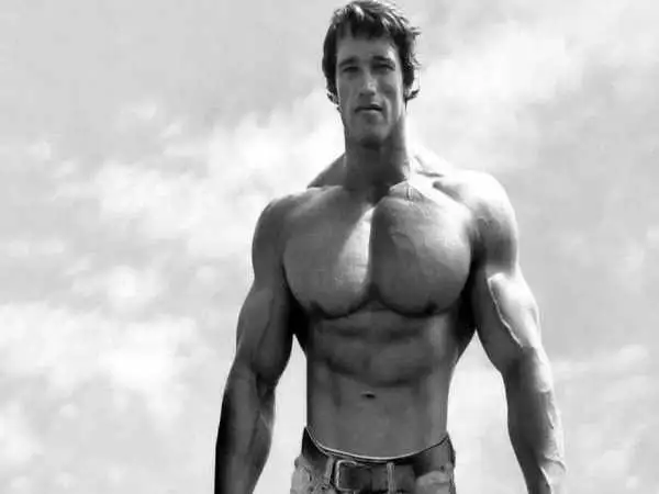 قوی ترین عضلۀ بدن انسان کدام است؟